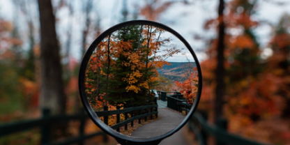 PD Research report featured image