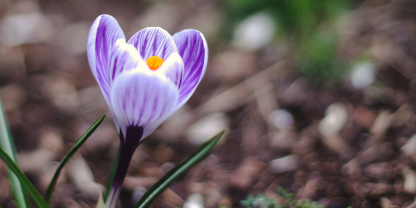 Micro growth equity market insight 2025