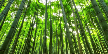 20250417 Japan private equity whitepaper cover images